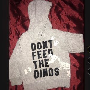 Dinosaur sweater for toddler